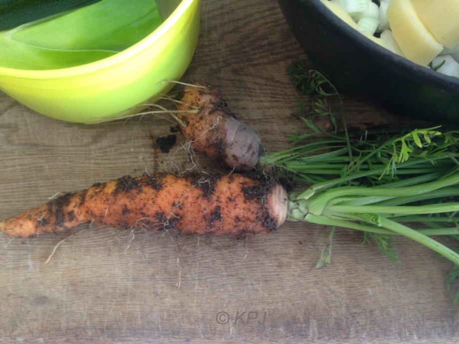 Carrots from the veg plot